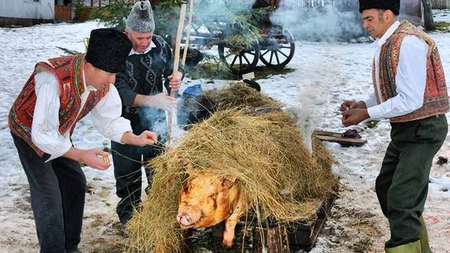 Când se taie porcul?