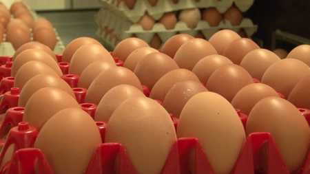 6 sfaturi absolut grozave de înlocuire a ouălor în rețete