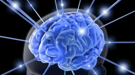 Cele 10 porunci pentru un creier sănătos, dezvăluite de unul dintre cei mai experimentați neurochirurgi