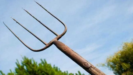 Frați pedepsiți de judecătorii ieșeni după ce au bătut un bărbat cu furca. Scandalul a pornit de la o fată