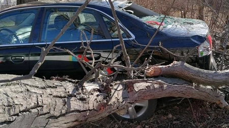 Vântul a început să facă prima ''victima''! O maşină s-a făcut praf