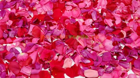 Parfumul de trandafiri îmbunătățește învățarea în timpul somnului