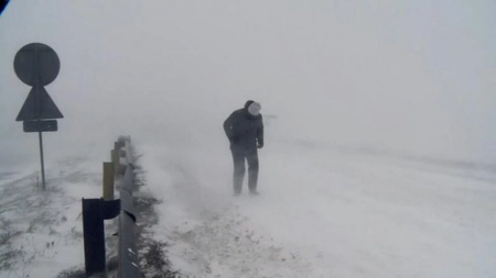 Panică în România! Viscolul a paralizat jumătate de ţară! Copaci căzuţi, scoli închise, trenuri anulate