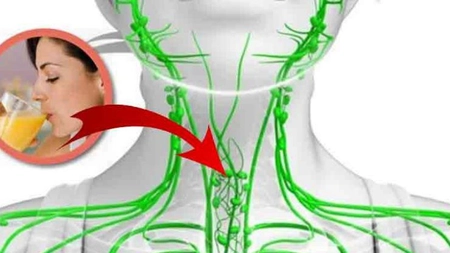 O limfă curată, o viaţă sănătoasă. Cum se curăţă limfa
