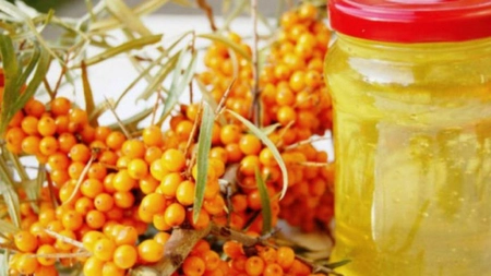 Cătina, Regina imunității și remediu împotriva îmbătrânirii – Iată cum se prepară corect