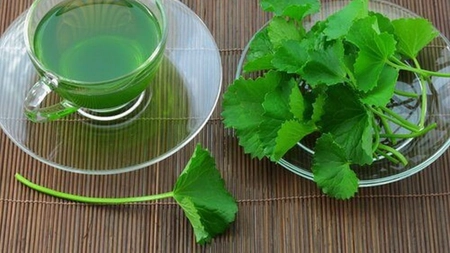 Ceaiul de Țelină elimină excesul de apă și ajută organismul să ardă mai eficient grăsimile