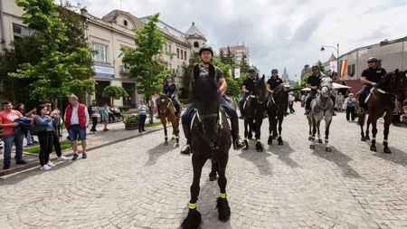 Cheltuieli de 150 de mii de lei pentru cazarea cailor Poliției Locale Iași