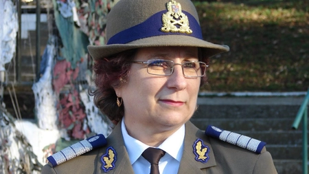 Brigada 15 Mecanizată 