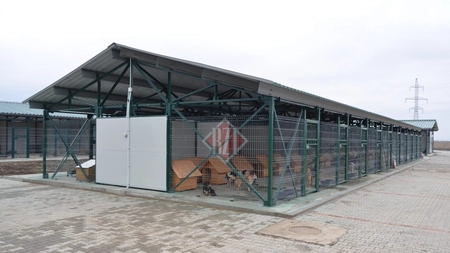 Două firme vor să furnizeze hrană pentru câinii din padocul de la Tomești