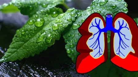 Aşa se face o curăţare a plămânilor noştri. Sfaturi bune şi pentru fumători
