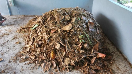 Salubris preia gratuit deșeurile vegetale. Incinerarea acestora este interzisă