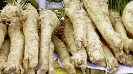 Cum se utilizează hreanul pentru a fi excelent pentru oase, creier şi inimă