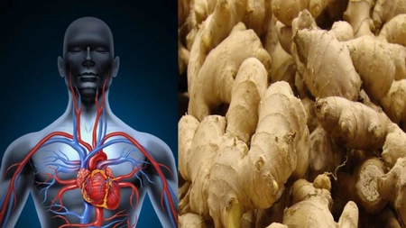 Ce se întâmplă în organism dacă mănânci ghimbir în fiecare zi, timp de 7 zile