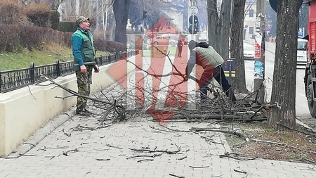 Lista străzilor din Iași unde se se fac lucrări speciale de dezinfecție. Șoferii sunt sfătuiți să elibereze carosabilul