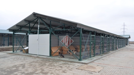 Câinii din padocul Tomești vor primi hrană de 75.000 de euro