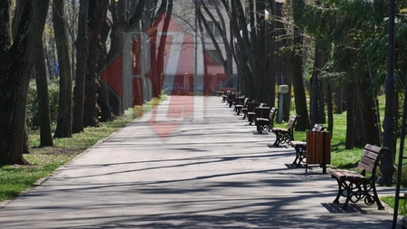 Servicii Publice Iași SA cumpără picioare din fontă pentru bănci de 120.000 euro! Singura ofertă a fost depusă de Turnomex Phoenix SRL