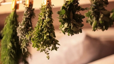 Cum se usucă plantele aromatice pentru iarnă