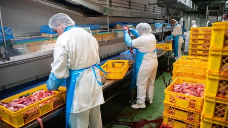 O mie de români din Germania au fost infectați cu coronavirus. MAE a făcut anunţul