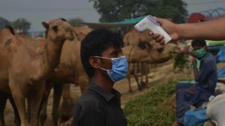 Dezinformarea privind noul coronavirus a răpus mii de vieți. Printre leacurile „băbești” folosite: urina de vacă sau de cămilă și metanolul