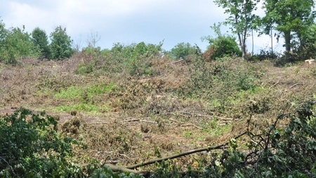 Descoperire uluitoare făcută în localitatea Vulturi, la doi pași de municipiul Iași. Locul masacrului antisemit din 1941 a scos la iveală un nou secret