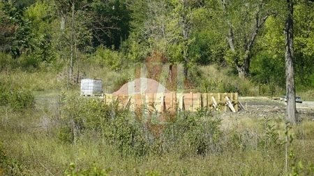 Bani cheltuiți în bătaie de joc: Parcul central din comuna Strunga, județul Iași, este plin de bălării, deși primarul Mariana Lazăr a semnat contracte de modernizare în valoare de peste 100 mii de euro