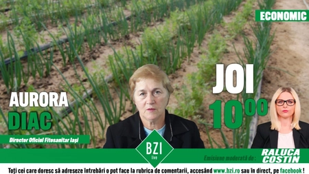 LIVE VIDEO - Despre tratamentele aplicate de fermierii din Iaşi și când sunt în pericol consumatorii dacă nu sunt aplicate corect, numai la BZI LIVE! Discuție cu Aurora Diac, director al Oficiului Fitosanitar Iaşi - FOTO