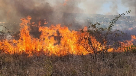 Incendiu puternic de vegetaţie în localitatea Vişani. Focul s-a extins pe 10 hectare - FOTO/ VIDEO