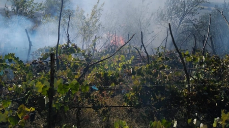 O femeie s-a ales cu arsuri la mâini după ce a încercat să stingă un incendiu - FOTO