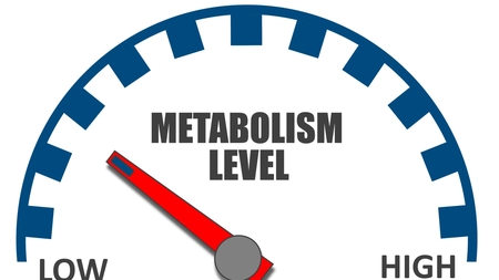 Cum să accelerați metabolismul organismului