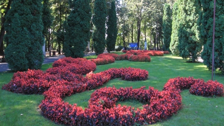 Pregătiri pentru campania de plantări de toamnă