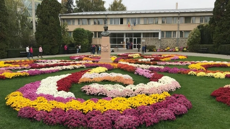 Universitatea 