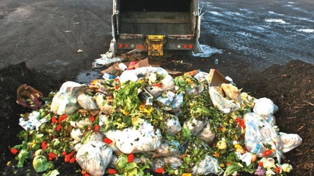 România este fruntașă la aruncatul mâncării la gunoi. Românii aruncă milioane de tone de alimente la gunoi