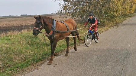 Românul cel inventiv! Un vasluian cu bicicleta este tras de un cal - VIDEO