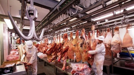 Consum de carne - benefic sau cu numeroase contraindicații?