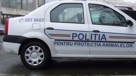 Poliţia Animalelor întâmpină probleme. Ordonanța nu respectă prevederile constituţionale