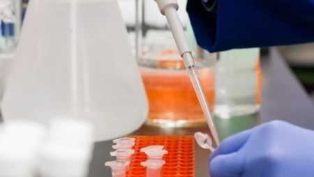 S-a descoperit o nouă tulpină de coronavirus. Cât de periculoasă este pentru om