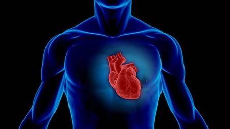 COVID-19: chiar și o infecție asimptomatică poate afecta inima