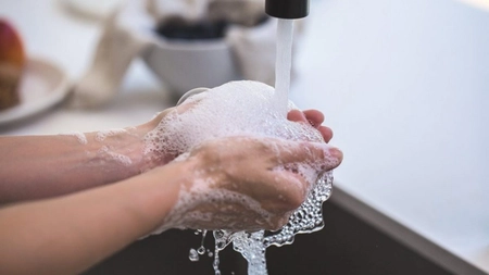 Triclosanul, aditivul din săpunul antimicrobian care agravează boala ficatului gras