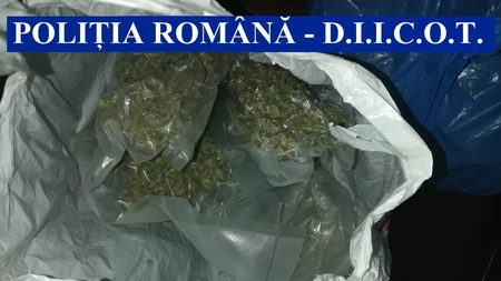 Cinci descinderi într-un dosar de trafic de droguri, la Iași. O persoană a fost condusă la audieri - FOTO