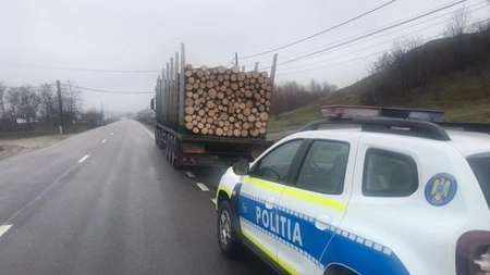 Polițiștii din Iași au prins un hoț de lemne în flagrant. În această perioadă sunt întâlnite foarte des astfel de cazuri
