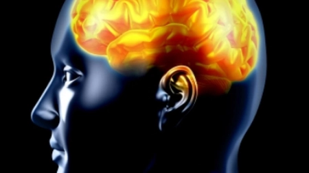 Studiu: SARS-CoV-2 poate infecta neuronii și deteriora țesutul cerebral
