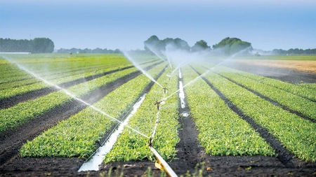 Două asociații de fermieri, din Iași, primesc fonduri europene pentru modernizarea sistemelor de irigații. Agricultorii vor investi 2 milioane de euro
