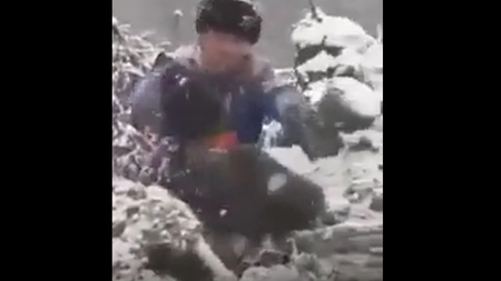 Patru pui de urs, scoşi din bârlog şi aruncaţi în zăpadă. Trei indivizi se amuză copios în loc să sune la 112  - VIDEO