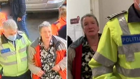 Informații șocante în cazul atacului asupra Mirelei Vaida! Atacatoarea și complicea intenționau să-i atace și pe președinte, premier și pe parlamentari