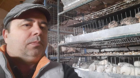O afacere care a dispărut treptat, pusă din nou pe picioare la Iași. Un afacerist a investit în prepelițe polare și speră să dea lovitura!