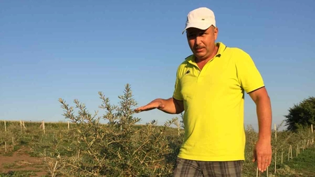 Doi ieșeni s-ar întoarce din Italia doar pentru o anumită sumă! Povestea soților Butnaru, care au câștigat o mică avere. 