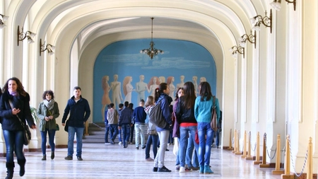 Universitatea 