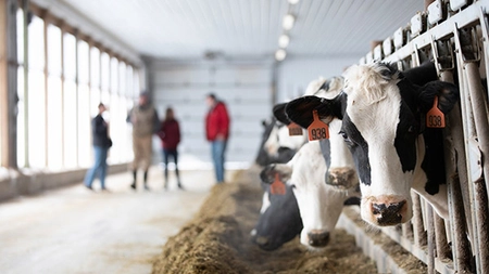 Fermierii din Iași sunt interesați de programul pentru tinerii angajați în domeniul agricol, unde pot obține până la 1.000 de lei lunar. Cererile se pot depune în continuare la Direcția Agricolă