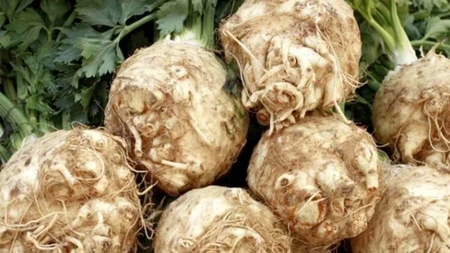 Top 5 beneficii ale telinei pentru sănătate