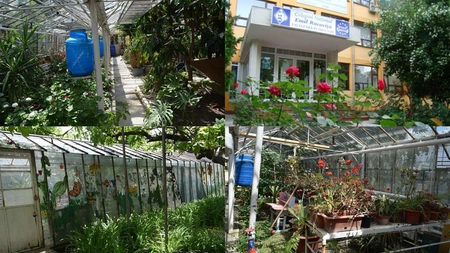 Doar la Colegiul Național 